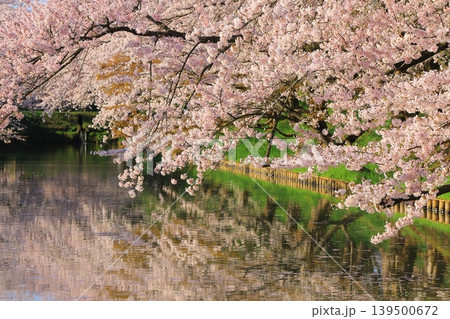 桜のある風景 桜のある風景 139500672