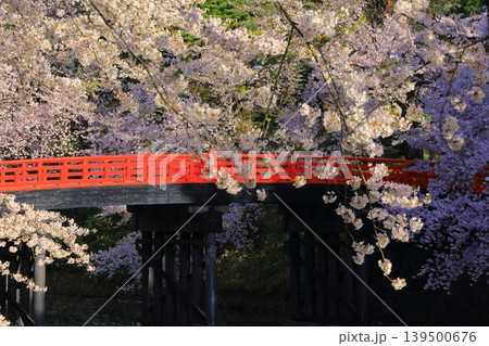 桜のある風景 桜のある風景 139500676