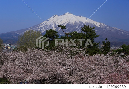 桜のある風景 桜のある風景 139500689