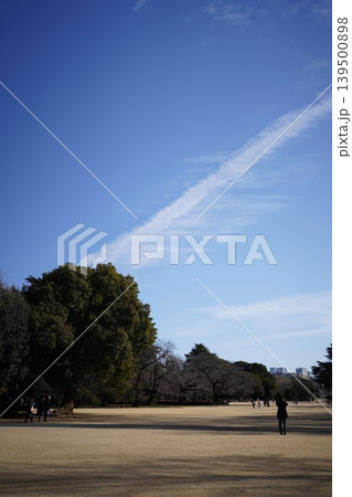 冬の青空に長く真っ直ぐ伸びる飛行機雲と公園の広場 139500898