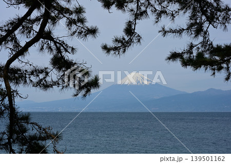 御浜岬からの富士山 139501162