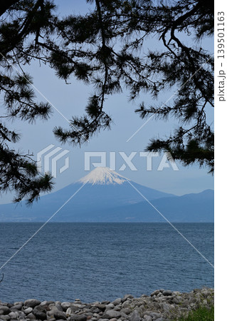 御浜岬からの富士山 139501163