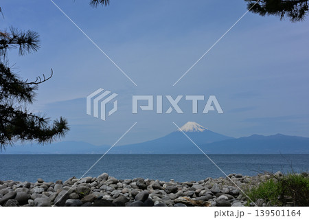 御浜岬からの富士山 139501164