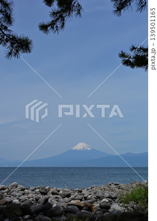 御浜岬からの富士山 御浜岬からの富士山 139501165