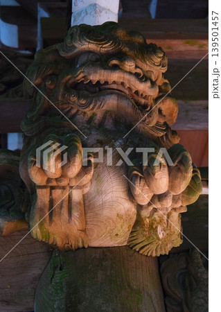 大雄山最乗寺パワースポット 大雄山最乗寺パワースポット 139501457