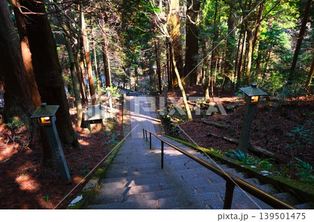 大雄山最乗寺パワースポット 139501475