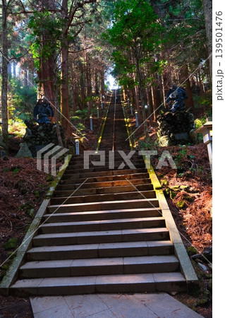 大雄山最乗寺パワースポット 大雄山最乗寺パワースポット 139501476