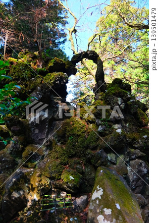 大雄山最乗寺パワースポット 大雄山最乗寺パワースポット 139501479