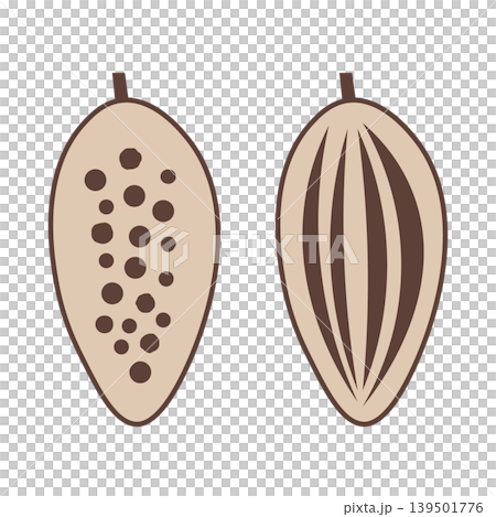Simple illustration set of cocoa beans and their cross-sections - Chocolate raw material Simple illustration set of cocoa beans and their cross-sections - Chocolate raw material 139501776