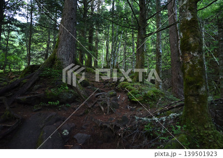 赤岳八ケ岳登山、長野県、山梨県 139501923