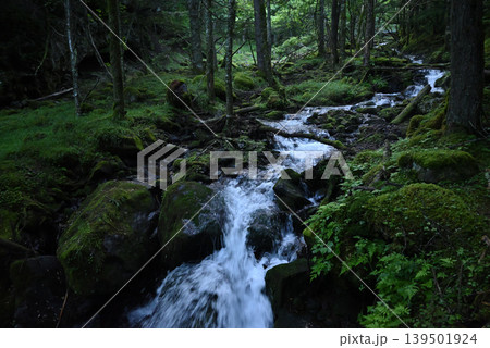 赤岳八ケ岳登山、長野県、山梨県 赤岳八ケ岳登山、長野県、山梨県 139501924