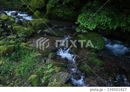 赤岳八ケ岳登山、長野県、山梨県 赤岳八ケ岳登山、長野県、山梨県 139501927