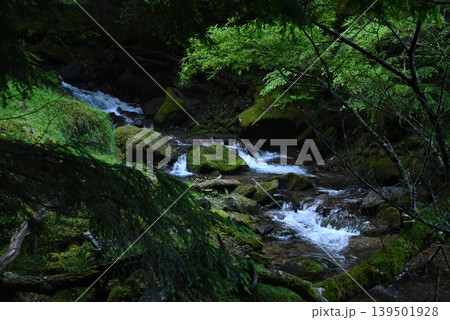 赤岳八ケ岳登山、長野県、山梨県 赤岳八ケ岳登山、長野県、山梨県 139501928