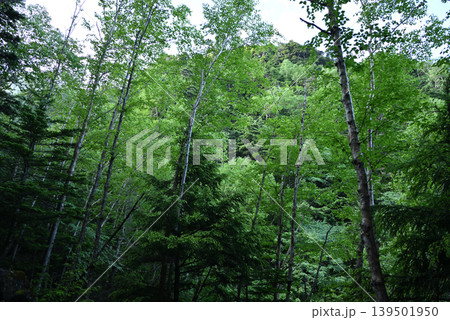 赤岳八ケ岳登山、長野県、山梨県 赤岳八ケ岳登山、長野県、山梨県 139501950
