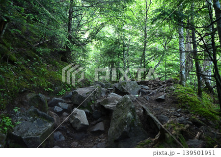 赤岳八ケ岳登山、長野県、山梨県 赤岳八ケ岳登山、長野県、山梨県 139501951