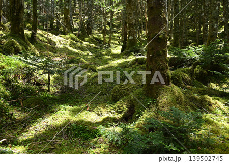 赤岳八ケ岳登山、長野県、山梨県 赤岳八ケ岳登山、長野県、山梨県 139502745