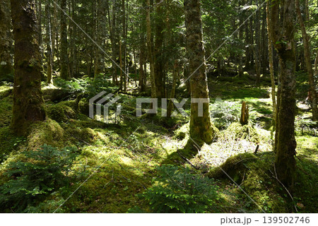 赤岳八ケ岳登山、長野県、山梨県 赤岳八ケ岳登山、長野県、山梨県 139502746