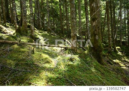 赤岳八ケ岳登山、長野県、山梨県 赤岳八ケ岳登山、長野県、山梨県 139502747
