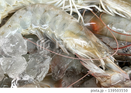 Top view of close up fresh prawns displayed on wet market. Seafood concept. 139503550