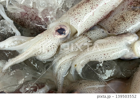 Fresh squids displayed on wet market. Asian and Seafood concept. 139503552