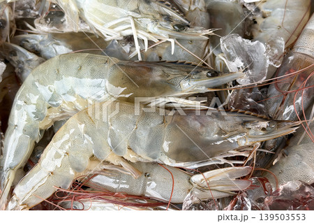 Close up top view of prawns displayed on wet market. Seafood concept. Close up top view of prawns displayed on wet market. Seafood concept. 139503553