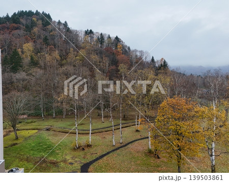 ＜ドローン撮影＞　北海道の白樺林がある風景 139503861