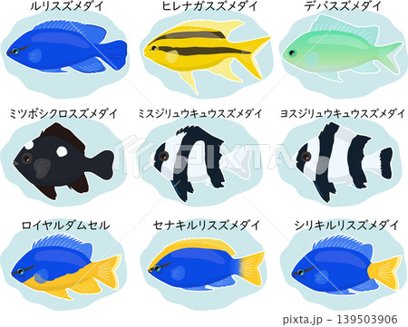 名称付きのスズメダイのセット 名称付きのスズメダイのセット 139503906