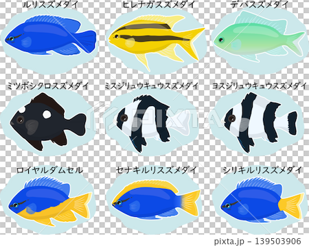 A set of damselfish with names. A set of damselfish with names. 139503906