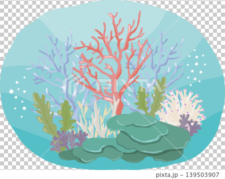 Coral reefs in the sea 139503907