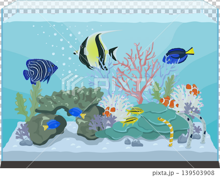 saltwater fish tank saltwater fish tank 139503908