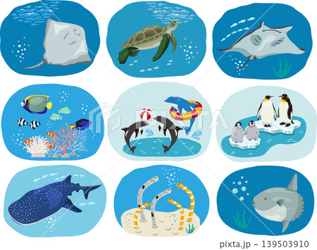 個別の水族館セット 139503910