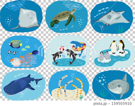Individual aquarium sets Individual aquarium sets 139503910