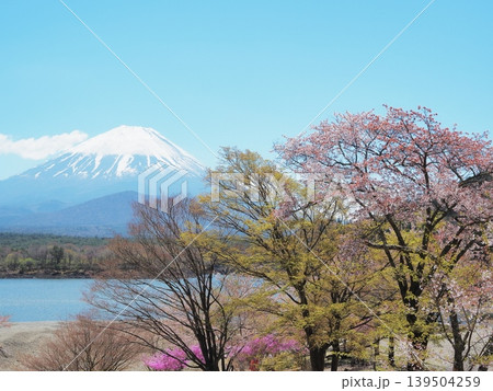 山梨県 春の精進湖畔の景色 4月 山梨県 春の精進湖畔の景色 4月 139504259