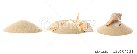 Seashells on small sand piles by the shore, PNG 139504531