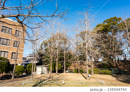 大濠公園のくじら公園の裏手 福岡県福岡市中央区 大濠公園のくじら公園の裏手 福岡県福岡市中央区 139504743