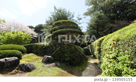 慈光院 139505155