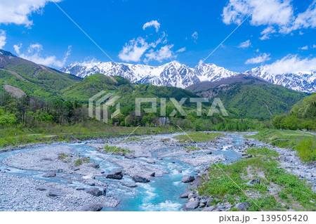 【初夏素材】白馬大橋から見た新緑芽生える白馬村の山岳風景【長野県】 【初夏素材】白馬大橋から見た新緑芽生える白馬村の山岳風景【長野県】 139505420