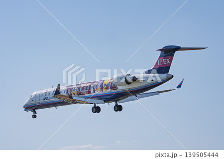 午後の仙台空港　着陸中の飛行機　宮城県名取市 139505444