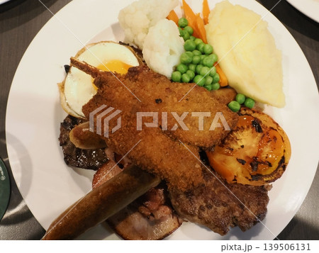 多彩な具材が並ぶ満腹プレート—揚げ物と焼き物が共演する豪快な皿 139506131