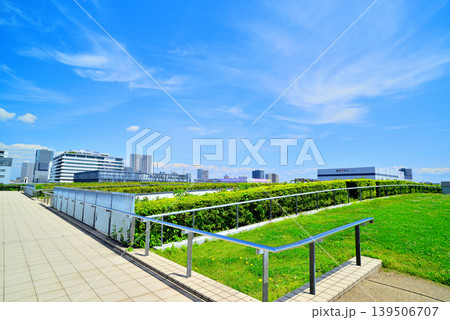 豊洲市場の屋上緑化広場から見える風景 豊洲市場の屋上緑化広場から見える風景 139506707
