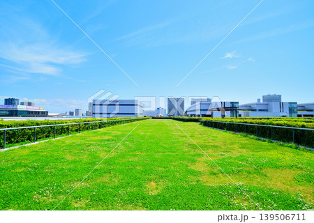 豊洲市場の屋上緑化広場から見える風景 豊洲市場の屋上緑化広場から見える風景 139506711