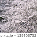 桜の花びら 139506732