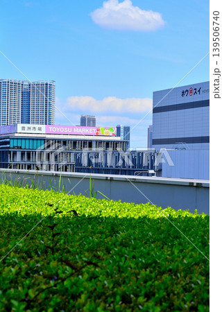 豊洲市場の屋上緑化広場から見える風景 豊洲市場の屋上緑化広場から見える風景 139506740