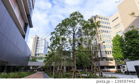横浜市役所跡のBASEGATE関内 横浜市役所跡のBASEGATE関内 139507442
