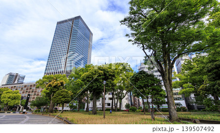 横浜公園の初夏 139507492