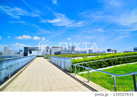 豊洲市場の屋上緑化広場 豊洲ぐるり公園からエレベーター通路 豊洲市場の屋上緑化広場 豊洲ぐるり公園からエレベーター通路 139507635