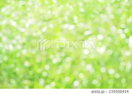 草原の玉ボケ 草原の玉ボケ 139508434