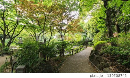 彼我庭園の初夏 彼我庭園の初夏 139508743