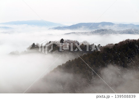 冬の雲海と備中松山城(天空の山城)25537 冬の雲海と備中松山城(天空の山城)25537 139508839