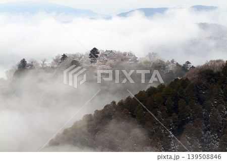 冬の雲海と備中松山城(天空の山城)25659 冬の雲海と備中松山城(天空の山城)25659 139508846